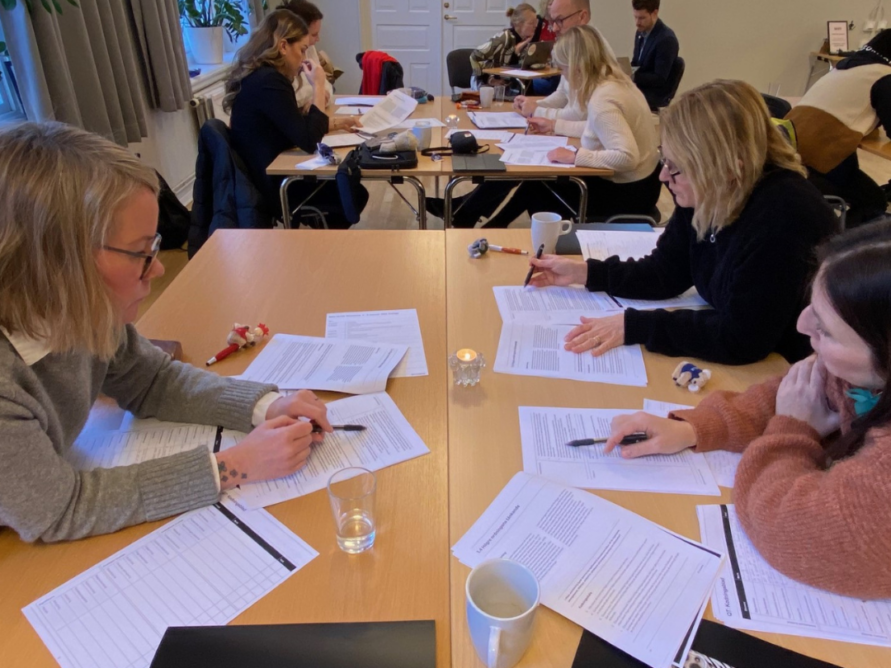 Swedish educators at the QTR workshop